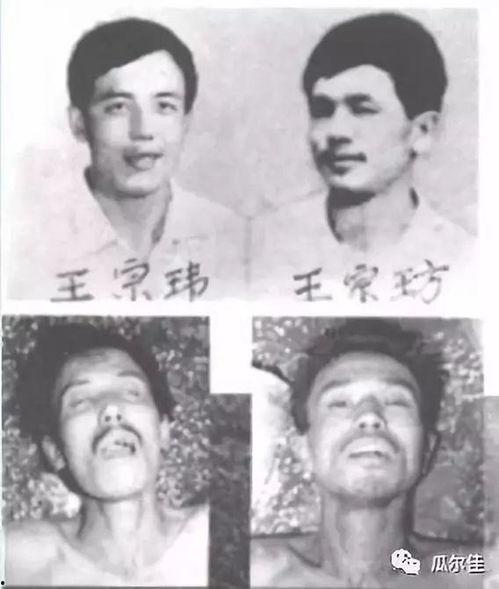 东北二王案纪实视频,揭秘惊天大案背后的真相与反思