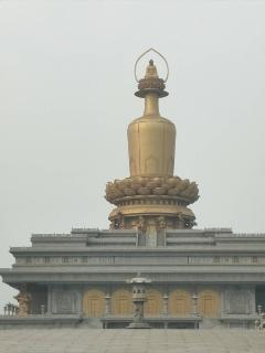 鲁波视频,揭秘生活百态，探寻人间真情