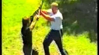 t棍教学视频,高效学习新体验